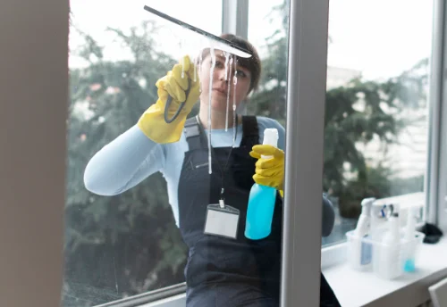 Nettoyage de vitres intérieures et extérieures au Bouchet-Saint-Nicolas